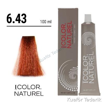 Color Naturel Tüp Boya 100 ML 6.43