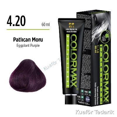 Colormax Tüp Boya 4.20