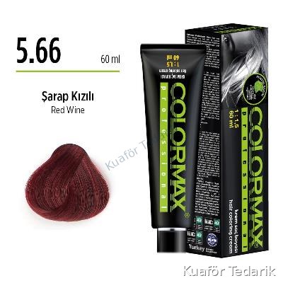 Colormax Tüp Boya 5.66