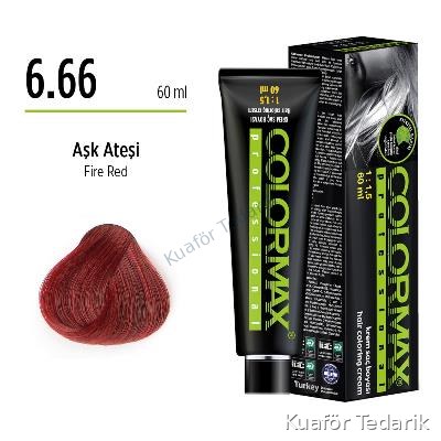 Colormax Tüp Boya 6.66
