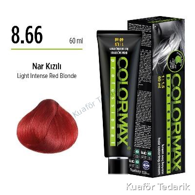 Colormax Tüp Boya 8.66