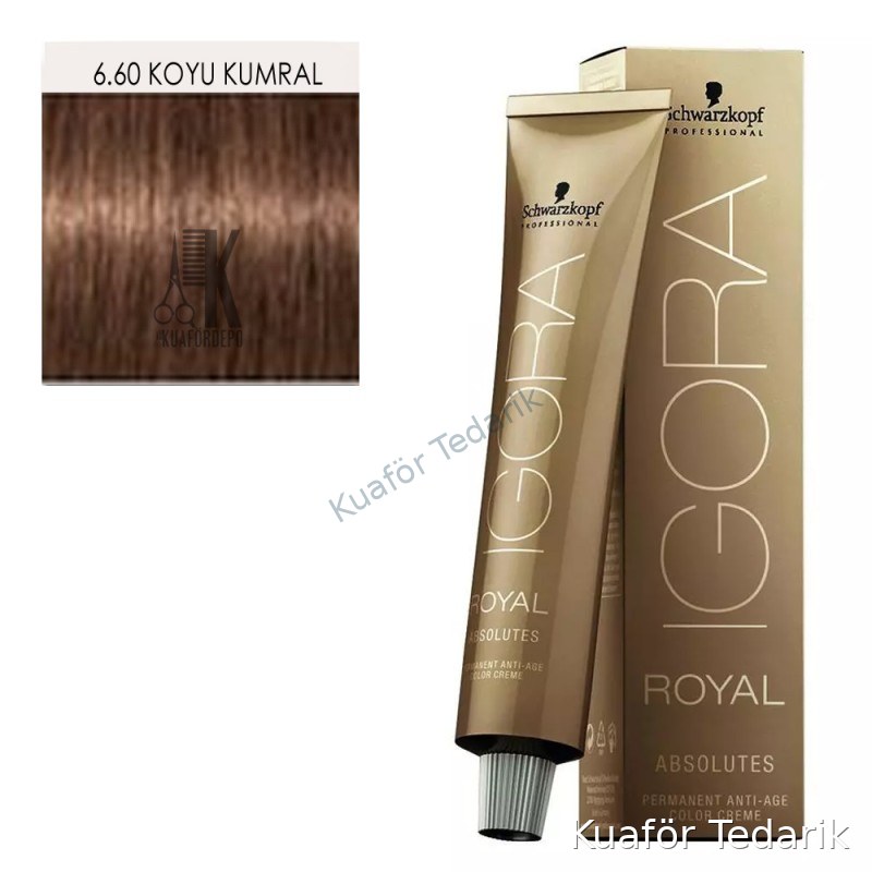 İGORA ROYAL SAÇ BOYASI 60 ML 6.60 KOYU KUMRAL-DOĞAL ÇİKOLATA
